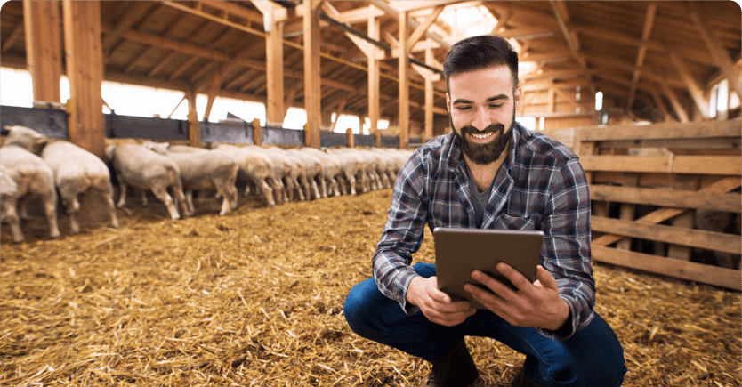 A agropecuária e suas boas práticas