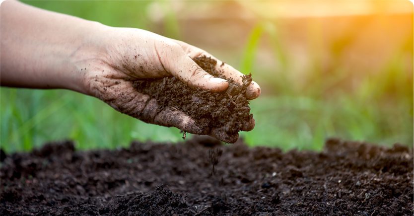 foto-destaque-falta-fertilizantes-agricultura-sustentavel