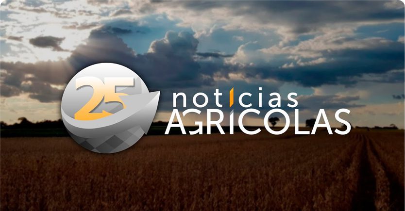 foto-destaque-entrevista-noticias-agricolas