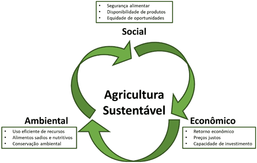 Agricultura Sustentável