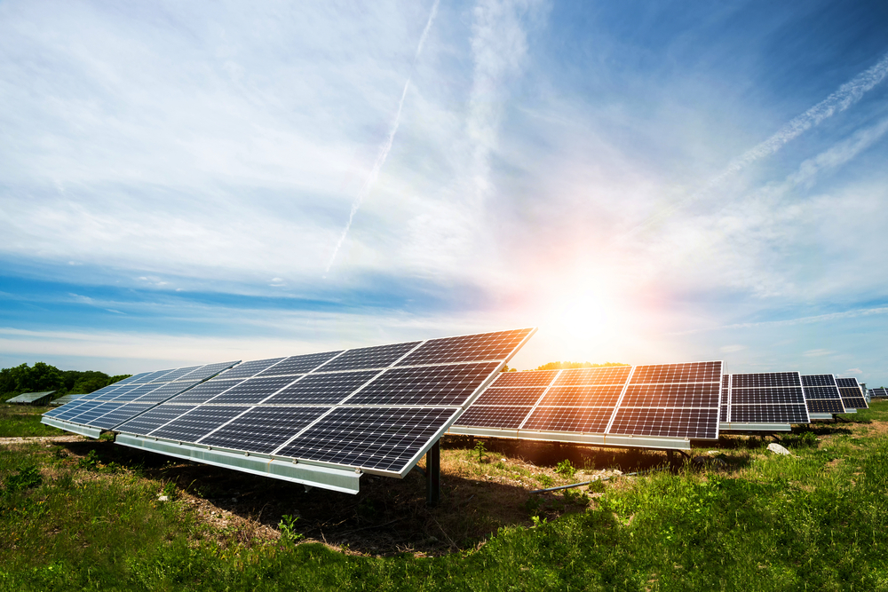 Saiba como a energia solar na agricultura pode gerar sustentabilidade e economia!