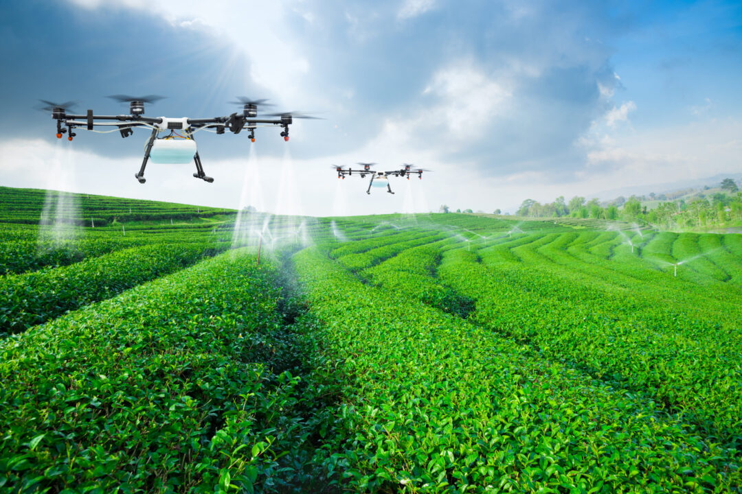 Otimize os seus resultados com drones na agricultura