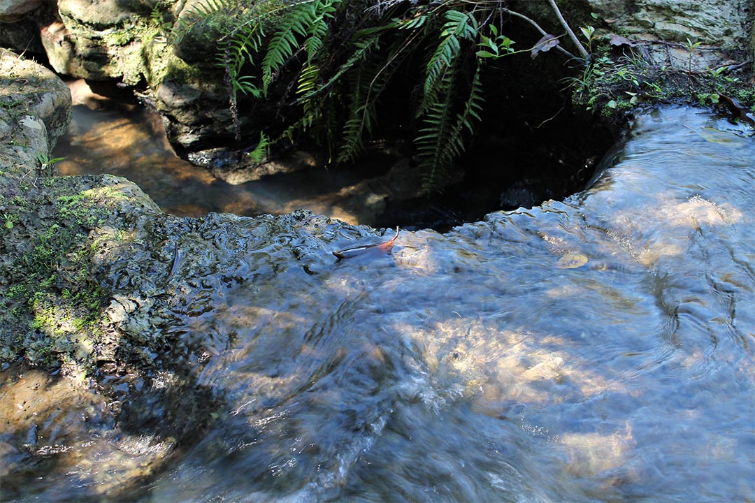 Nascente,Do,Rio,Olhos,D'água,-,River,Spring