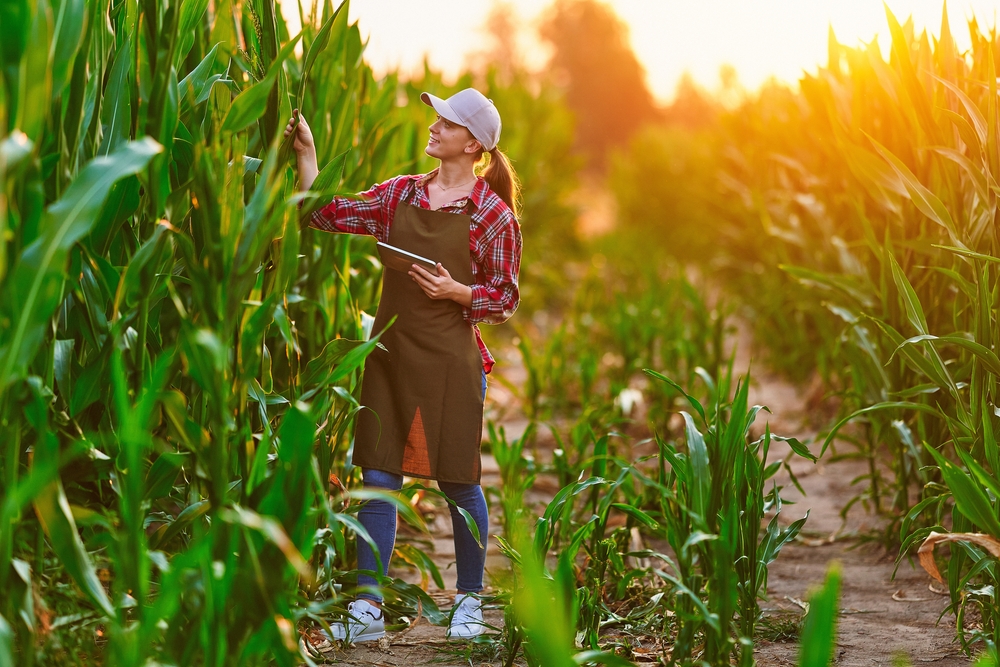 Smart,Woman,Farmer,Agronomist,Using,Digital,Tablet,For,Examining,And