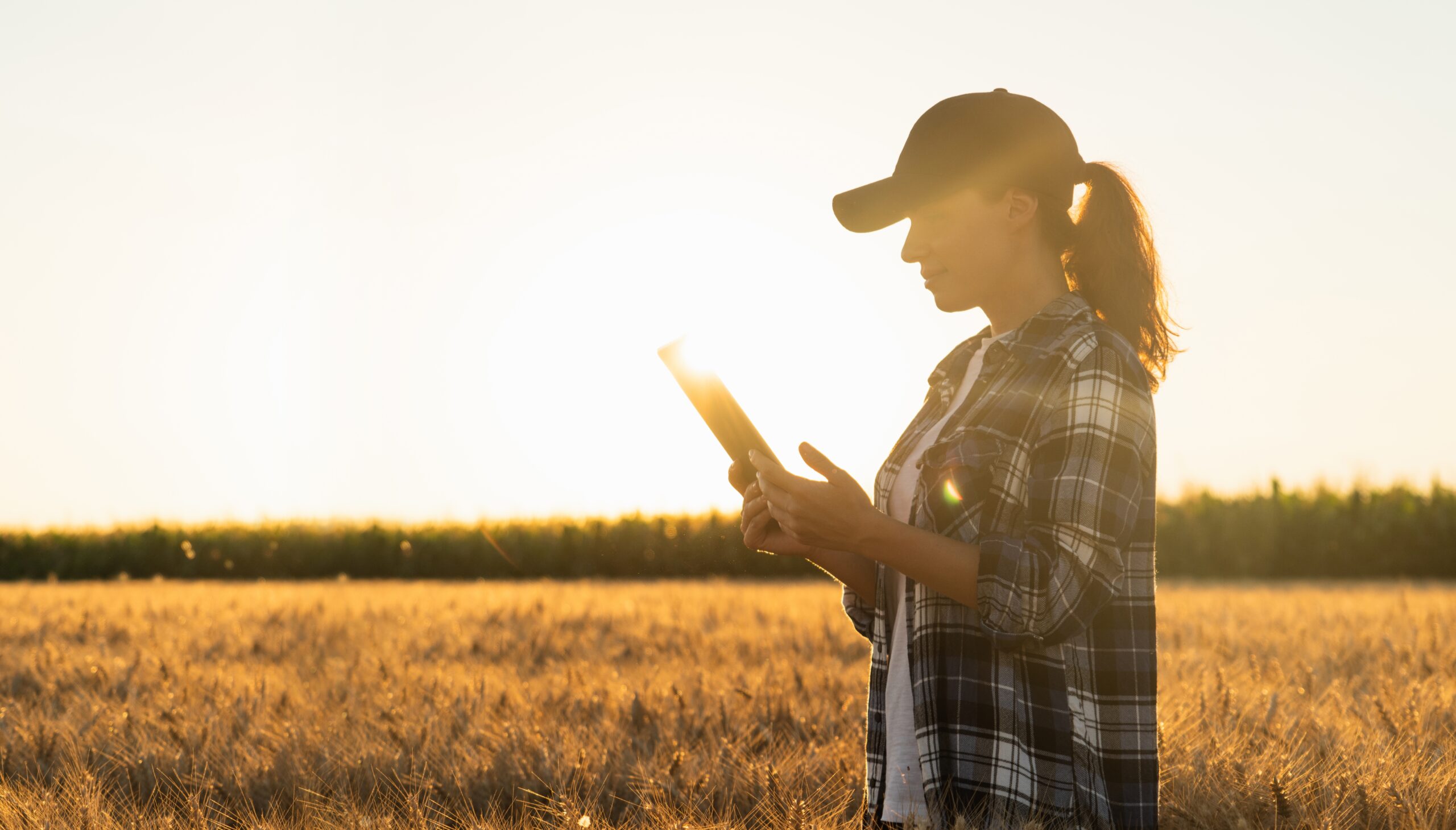 Woman,Farmer,With,Digital,Tablet,On,An,Agricultural,Field.,Smart