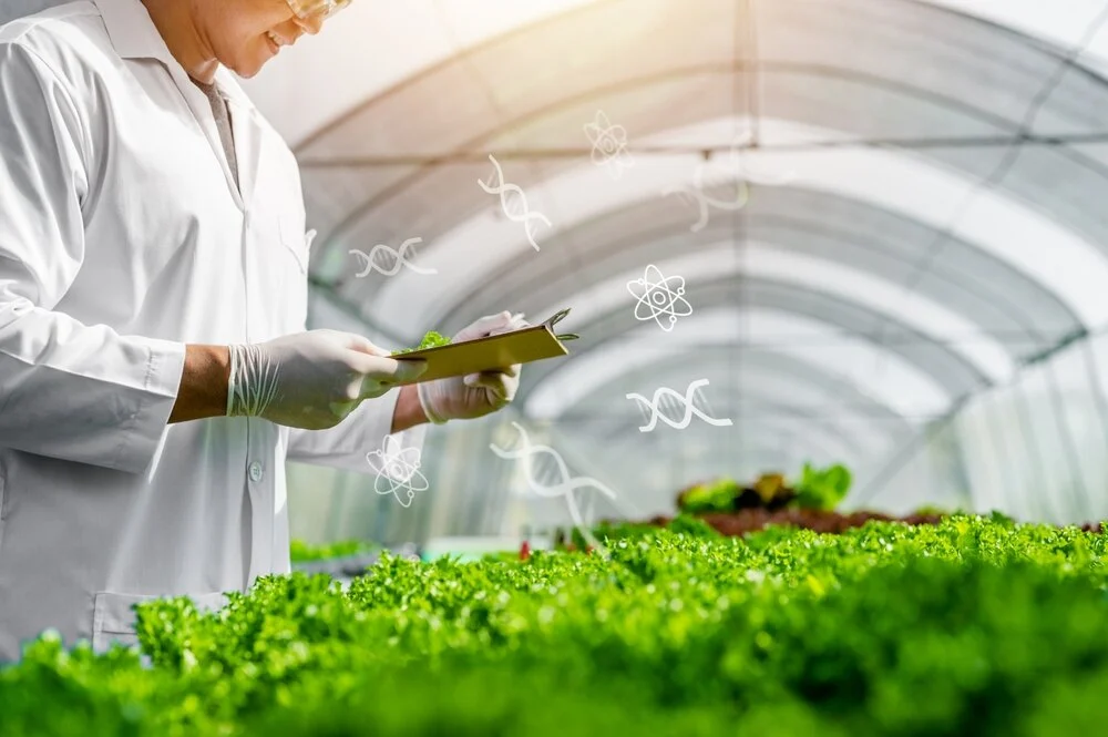 Biotecnologia na agricultura qual a importância